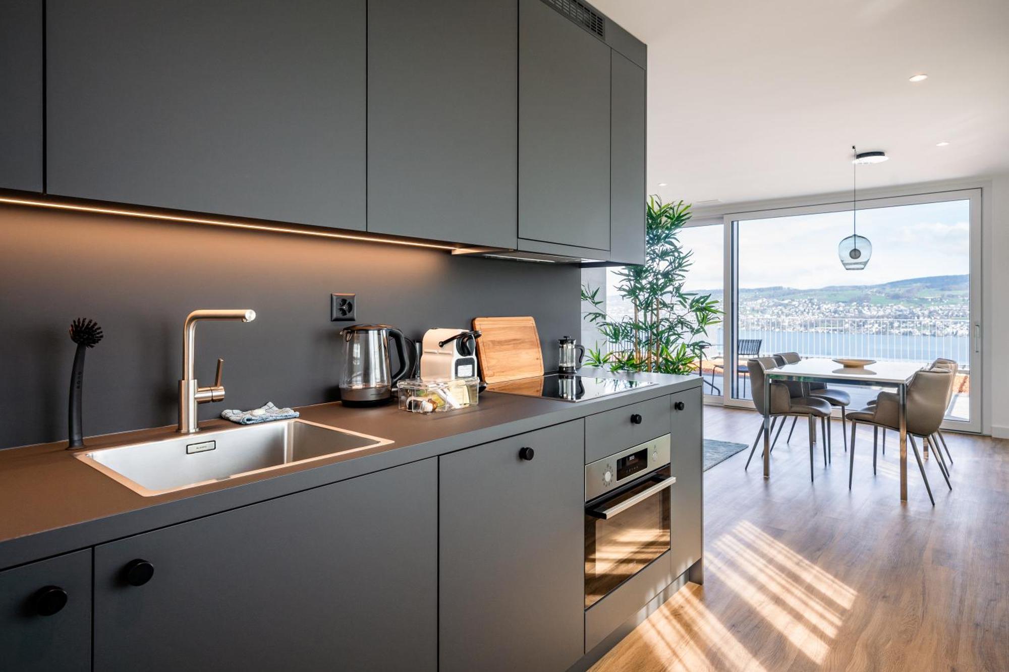 Aestate Living Lakeview In Horgen Zuerich Zug Pfaeffikon Exteriér fotografie